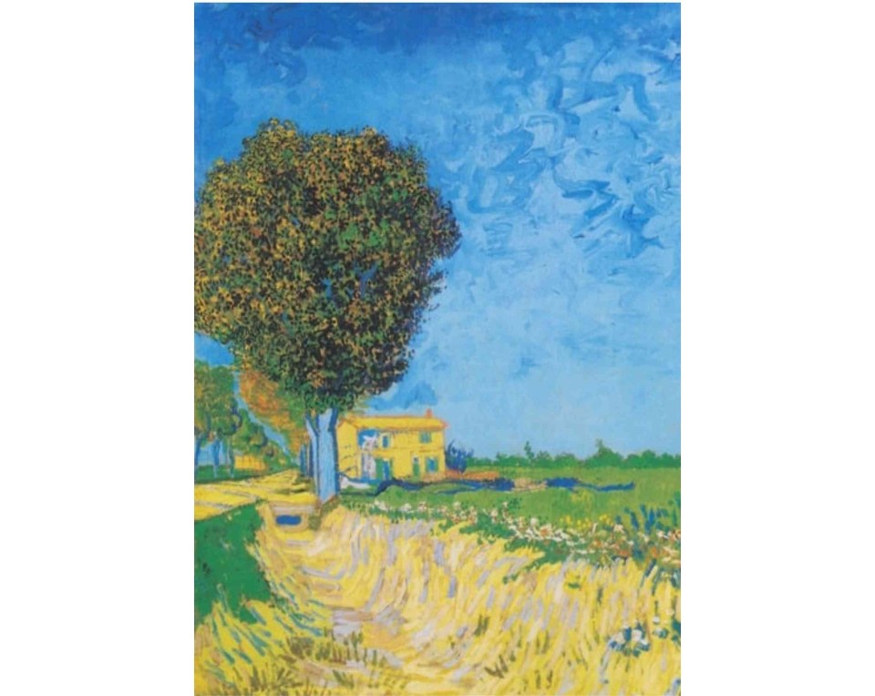 ΠΙΝΑΚΑΣ ΣΕ ΚΑΜΒΑ Vincent van Gogh - Ένα Μονοπάτι κοντά στην Αρλ