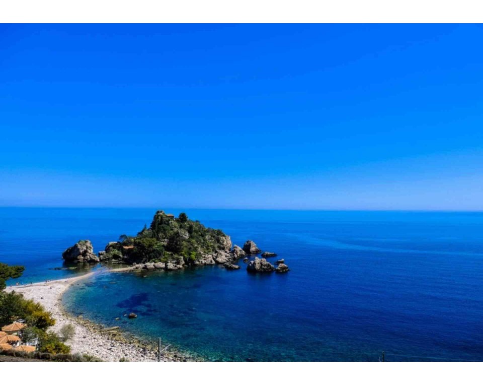 ΠΙΝΑΚΑΣ ΣΕ ΚΑΜΒΑ Τροπική Θάλασσα