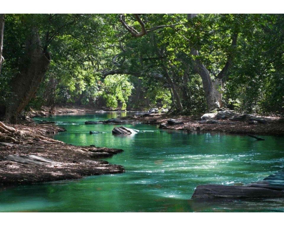 ΠΙΝΑΚΑΣ ΣΕ ΚΑΜΒΑ Καταρράκτης σε Φύση