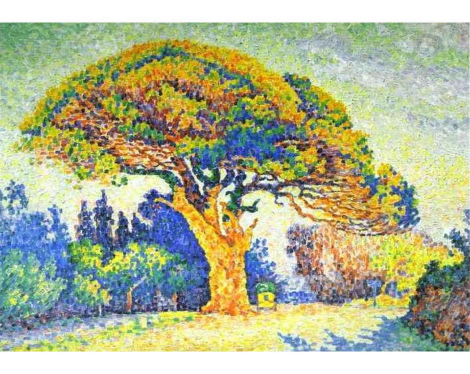 ΠΙΝΑΚΑΣ ΣΕ ΚΑΜΒΑ Paul Signac - Το Πεύκο στο Σεν Τροπέ