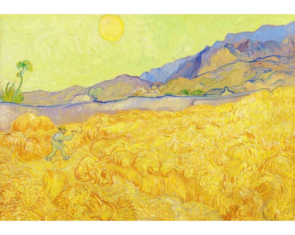 ΠΙΝΑΚΑΣ ΣΕ ΚΑΜΒΑ Vincent van Gogh - Χωράφι με Σιτάρι και Θεριστή
