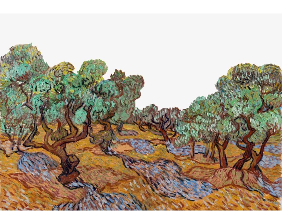 ΠΙΝΑΚΑΣ ΣΕ ΚΑΜΒΑ Vincent van Gogh - Οι Ελιές