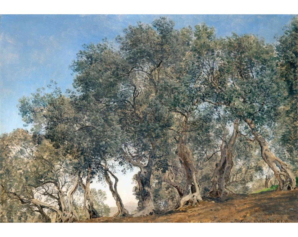 ΠΙΝΑΚΑΣ ΣΕ ΚΑΜΒΑ Janus la Cour - Ελαιώνας στο Τίβολι, Ιταλία