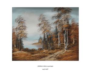 Τοπίο, Λάδι σε μουσαμά τελαρωμένο 40Χ50cm