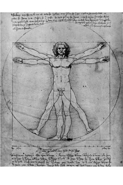  ο «Άνθρωπος του Βιτρούβιου», ένα διάσημο σκίτσο του Λεονάρντο ντα Βίντσι.  Εκτύπωση έργο τέχνης σε κάμβα τελαρωμένο κάθετο 40Χ60εκ 