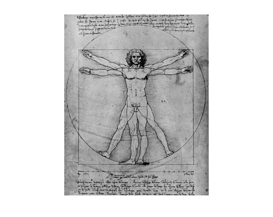  ο «Άνθρωπος του Βιτρούβιου», ένα διάσημο σκίτσο του Λεονάρντο ντα Βίντσι.  Εκτύπωση έργο τέχνης σε κάμβα τελαρωμένο κάθετο 40Χ60εκ 