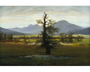 Εκτύπωση έργο τέχνης σε κάμβα τελαρωμένο οριζόντιο 40Χ60εκ 