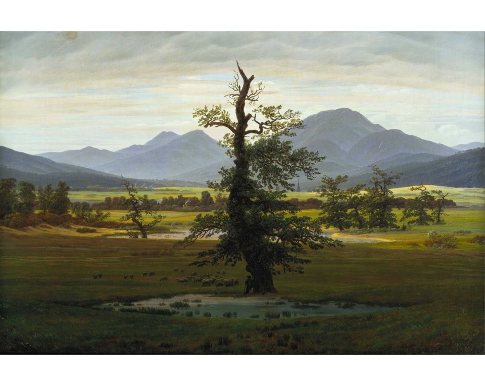 Εκτύπωση έργο τέχνης σε κάμβα τελαρωμένο οριζόντιο 40Χ60εκ 