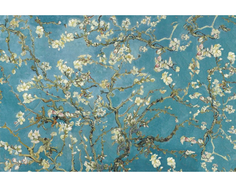 Εκτύπωση έργο τέχνης σε κάμβα τελαρωμένο οριζόντιο 40Χ60εκ 