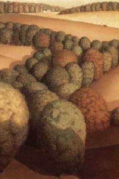 Εκτύπωση έργο τέχνης σε κάμβα τελαρωμένο οριζόντιο 40Χ60εκ 